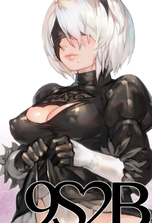 9S2B