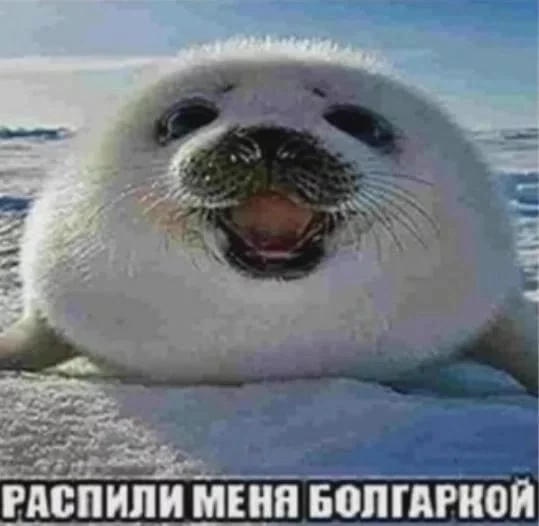 Tokuiten LR  Singularity LR English