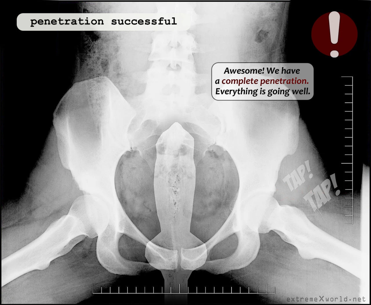 DNA Experiment image number 44