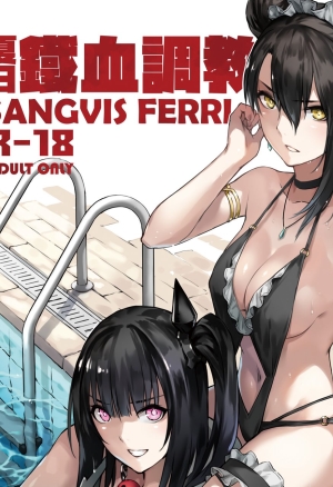 Summer T-Dolls Training ~SANGVIS FERRI~