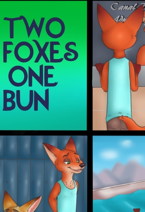 Two foxes one bun