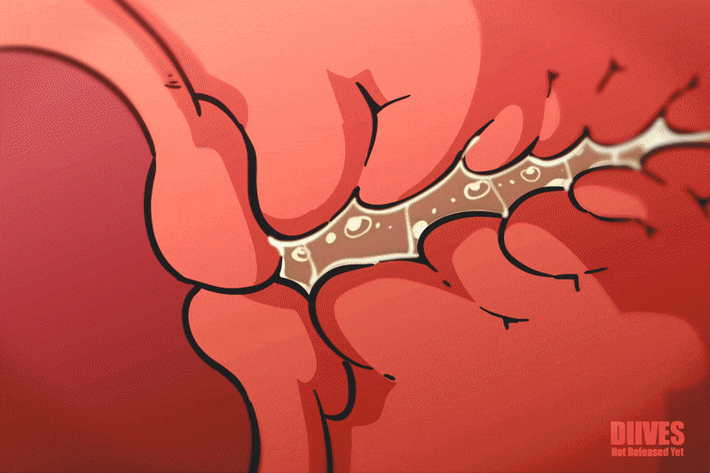 THE ULTIMATE DIIVES COMPILATION image number 108