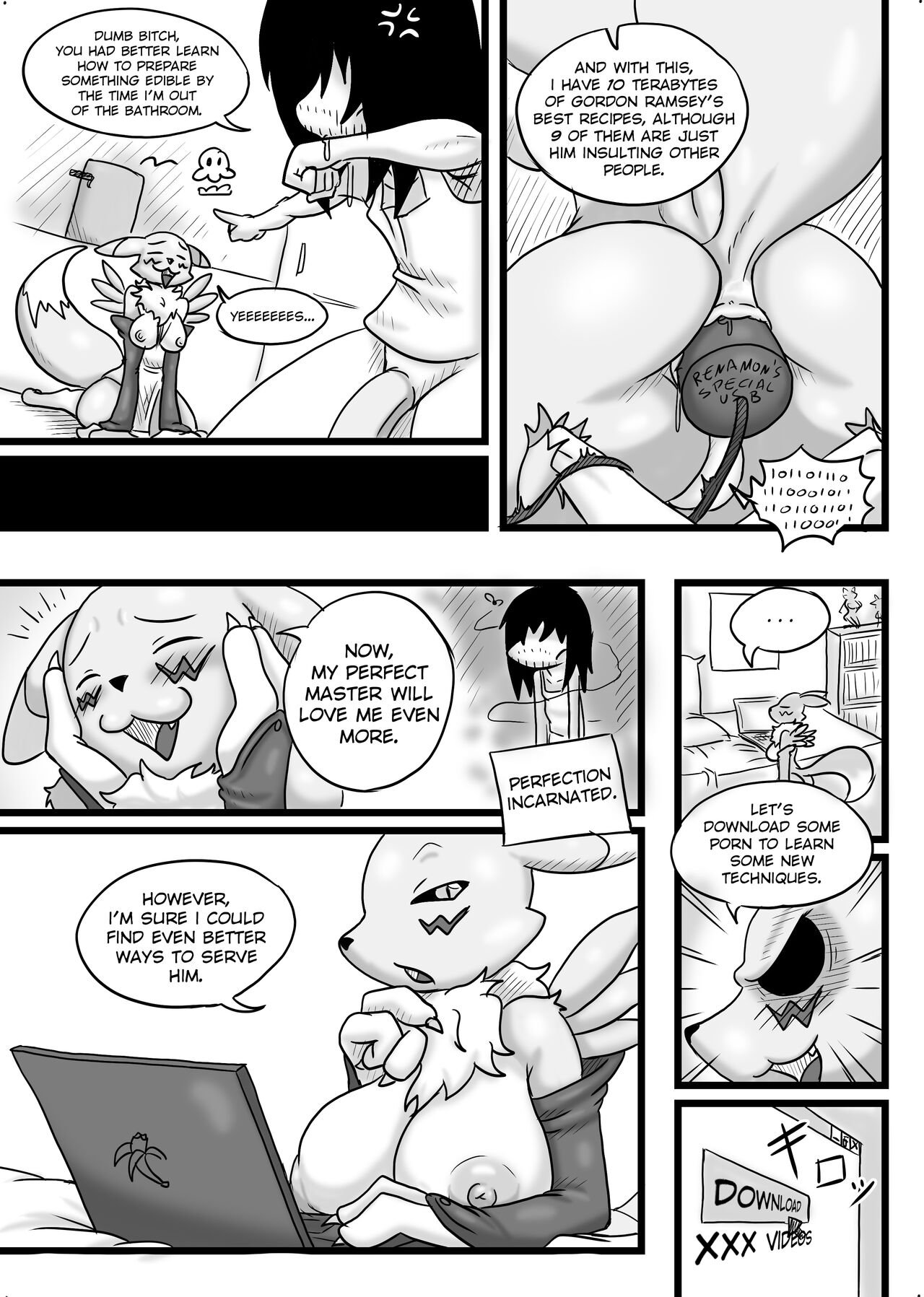 Studio Natsume - Fluffy Tail Series. Renamon incumming. image number 15