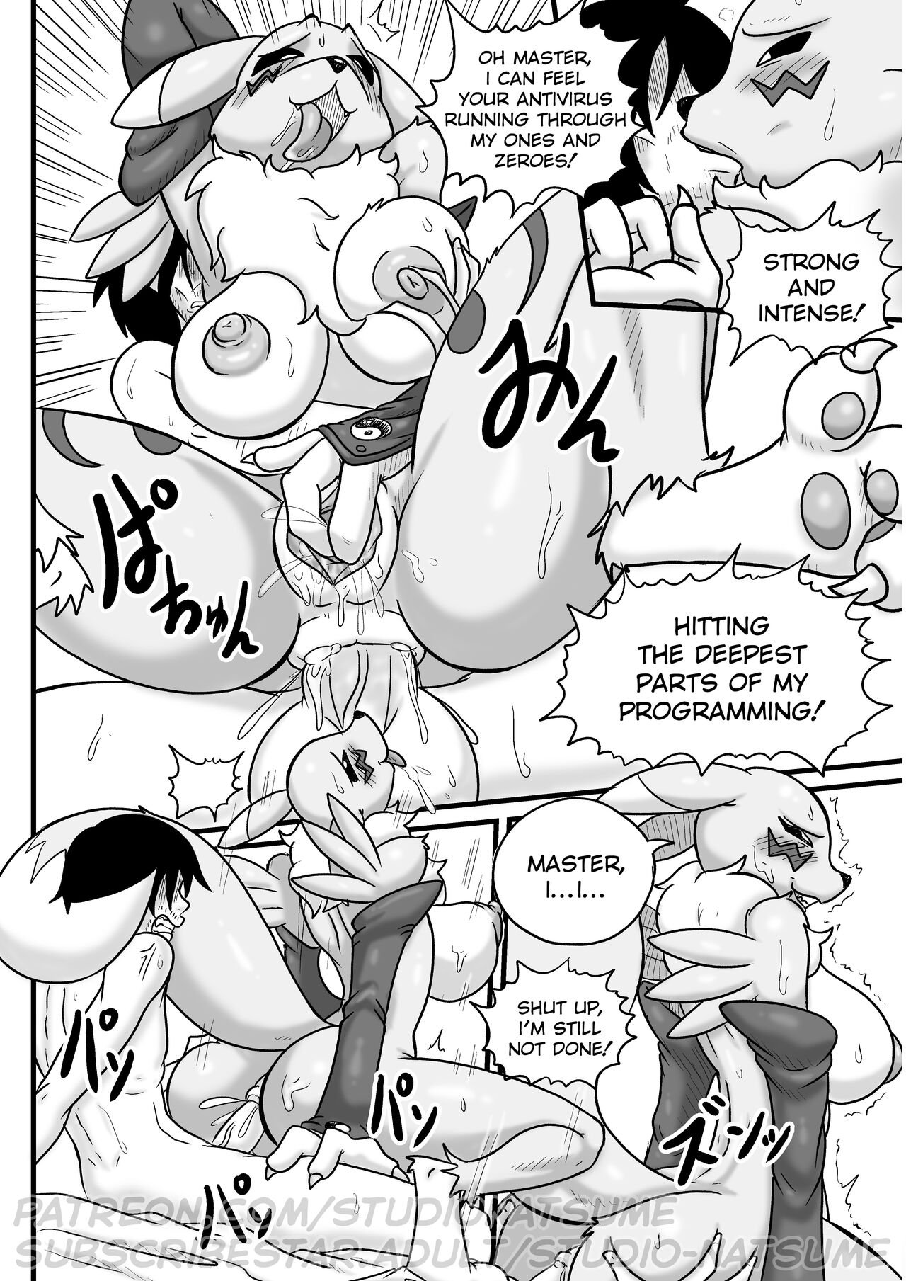 Studio Natsume - Fluffy Tail Series. Renamon incumming. image number 27