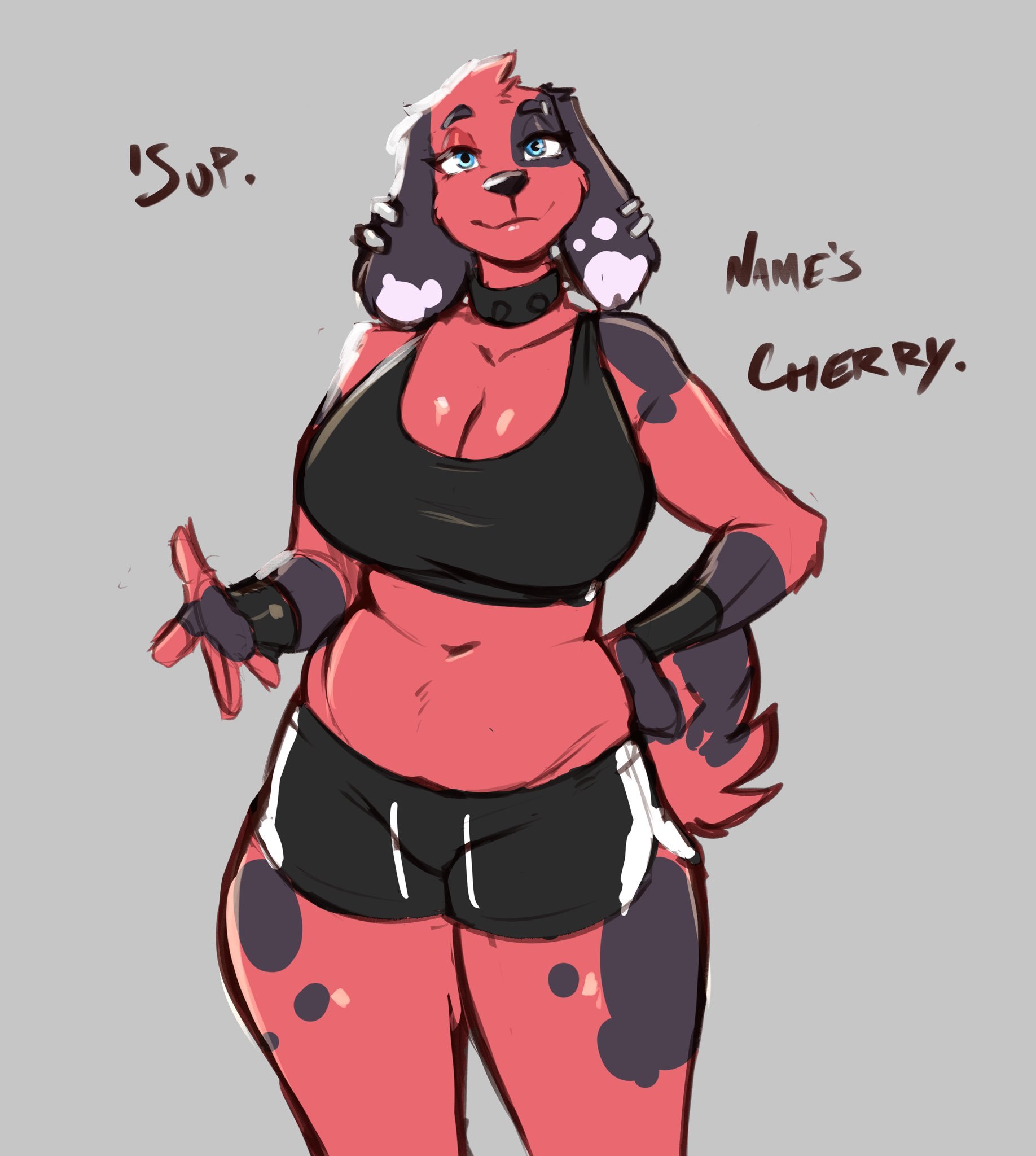 TheDogSmith Collection image number 77