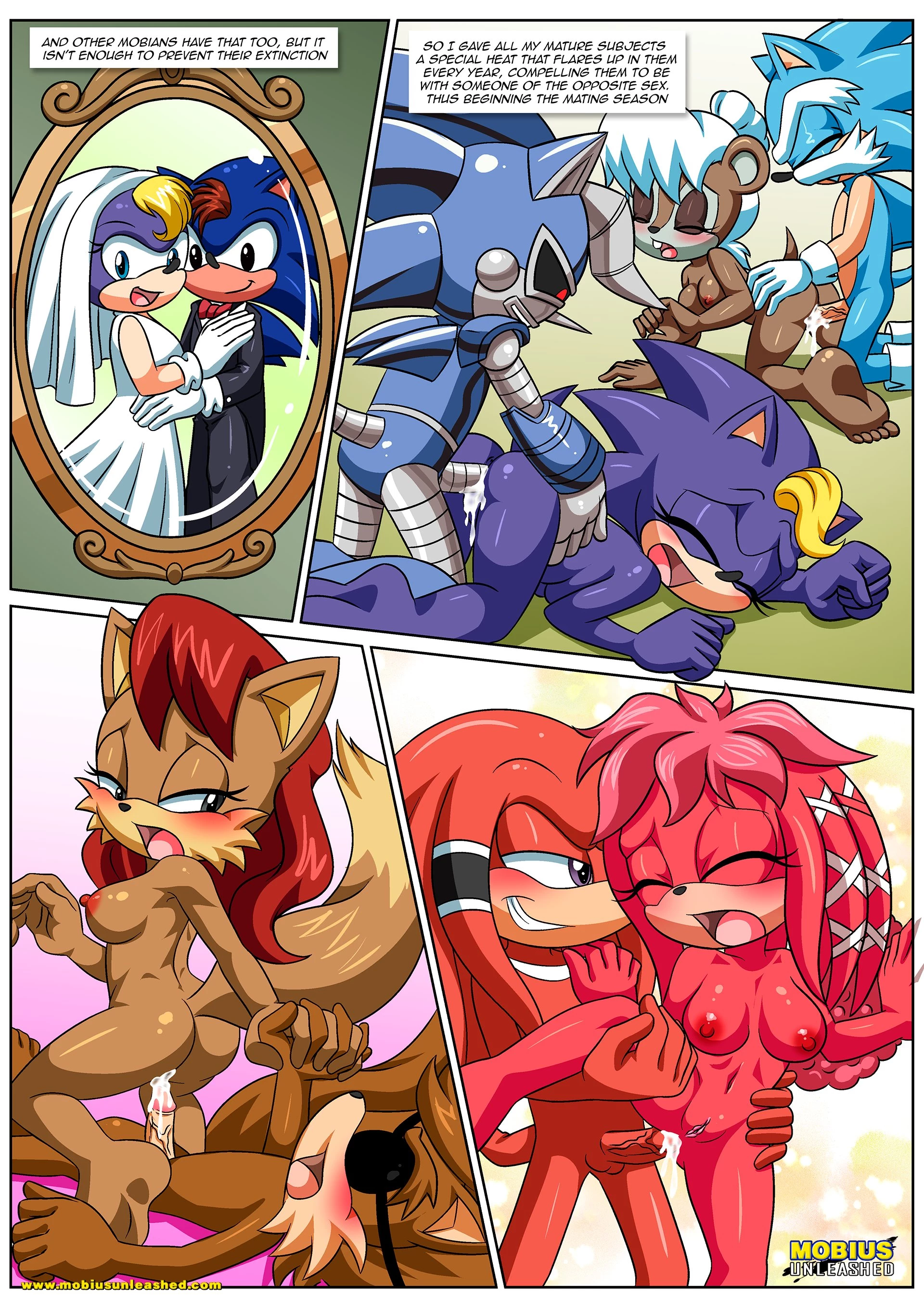 Mobian Mating Season image number 2