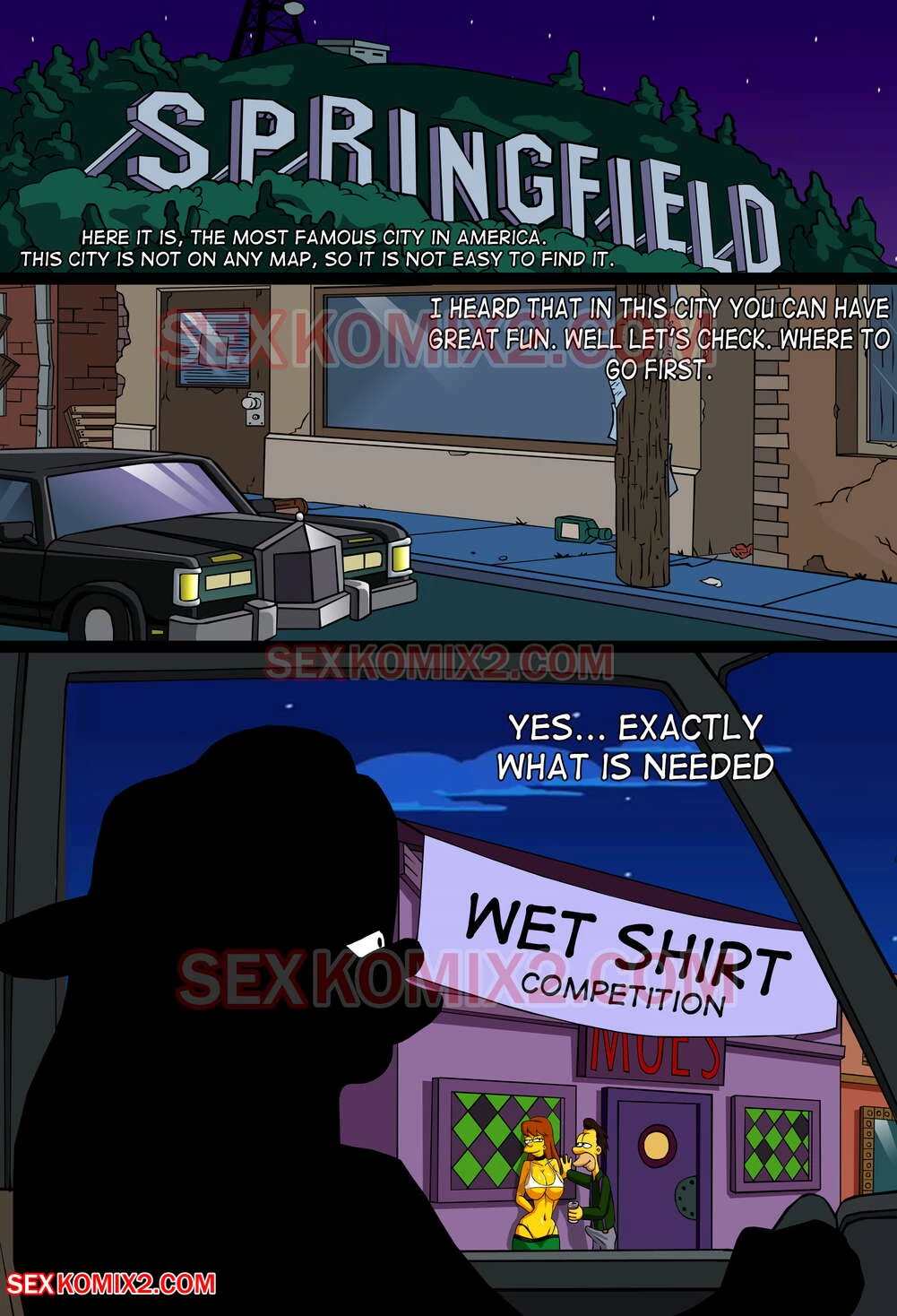 Adventures of Anastasia. Meet me Springfield. 1-2 image number 1