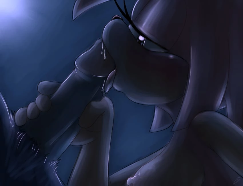 Bluechika Sonic porn image number 1