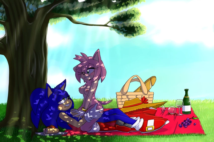 Bluechika Sonic porn image number 33