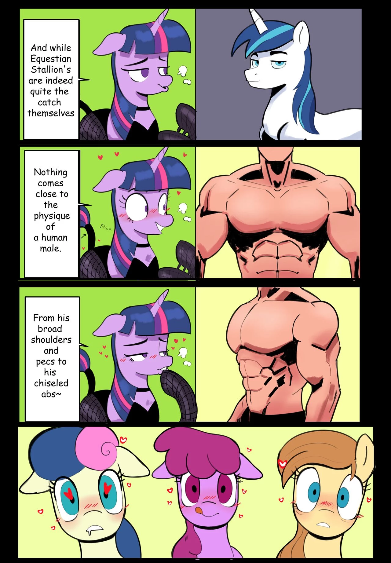 A Brony In Equestria image number 2