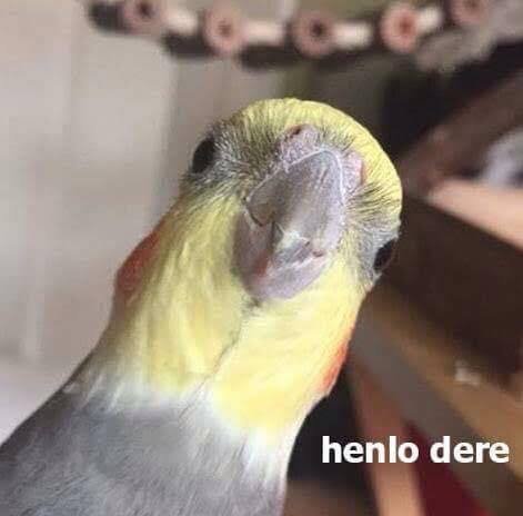 Feelings Cross-Check image number 20