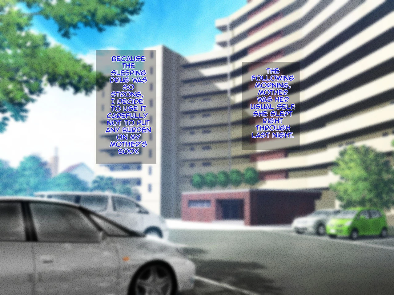 Shigoto Ningen de Kibishikatta Hahaoya wa Musuko to no Kinshin Koubi de Midara ni Aeide Jusei SuruStrict Workaholic Mother is Gasping L image number 35