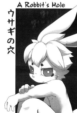 Usagi No Ana