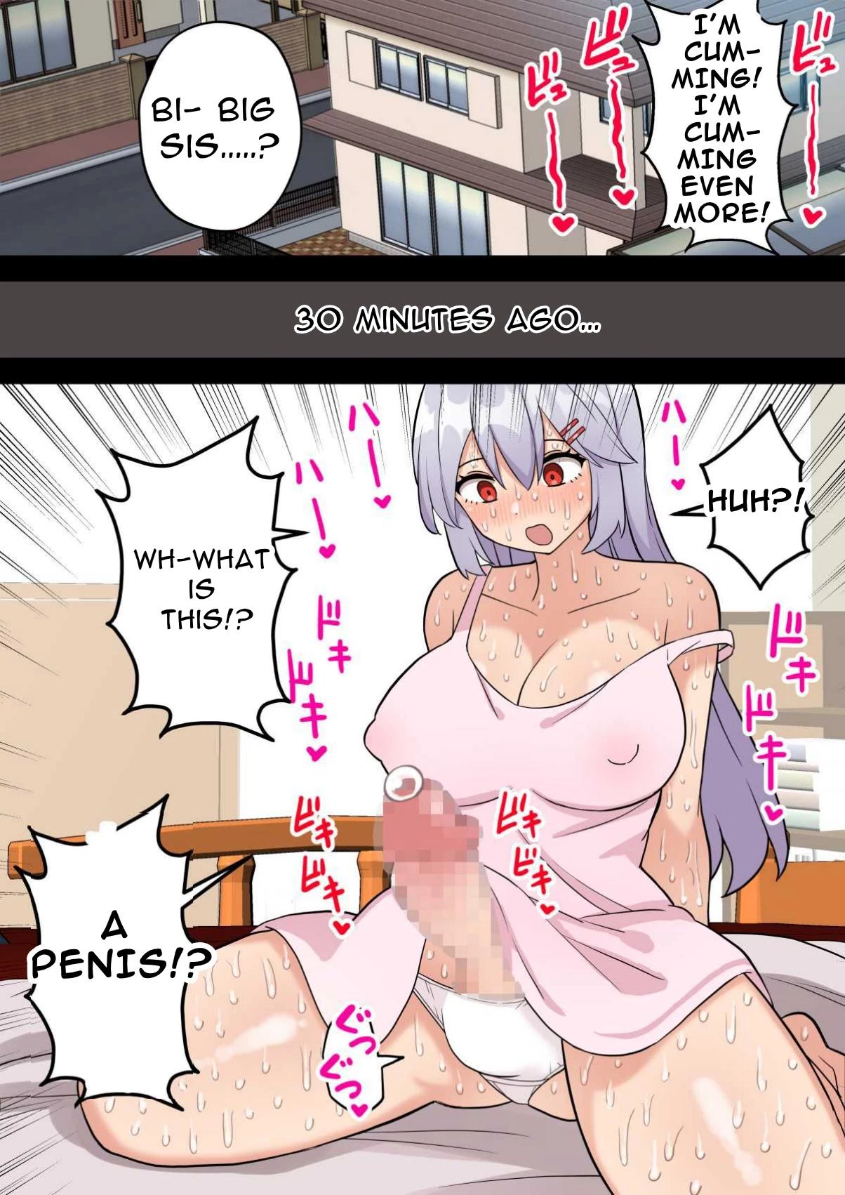 One Day, I Want To Be My Big Sisters Onahole  Imouto o Chinpo Case ni Suru Koutense Futanari Onee-chan no Hanashi image number 5