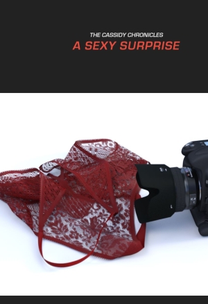 A Sexy Surprise