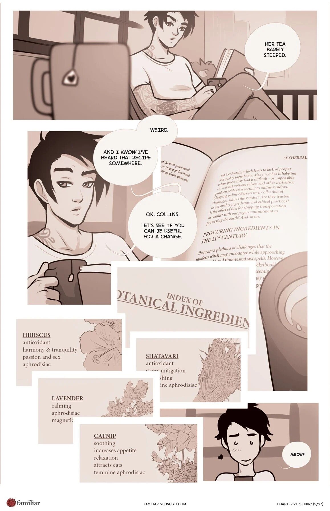 Soushiyo - Familiar Act 2 - Chapter 08.5 - Elixir - english image number 5