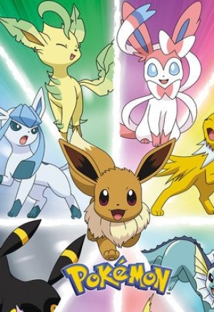 The Eeveelution  Compilation