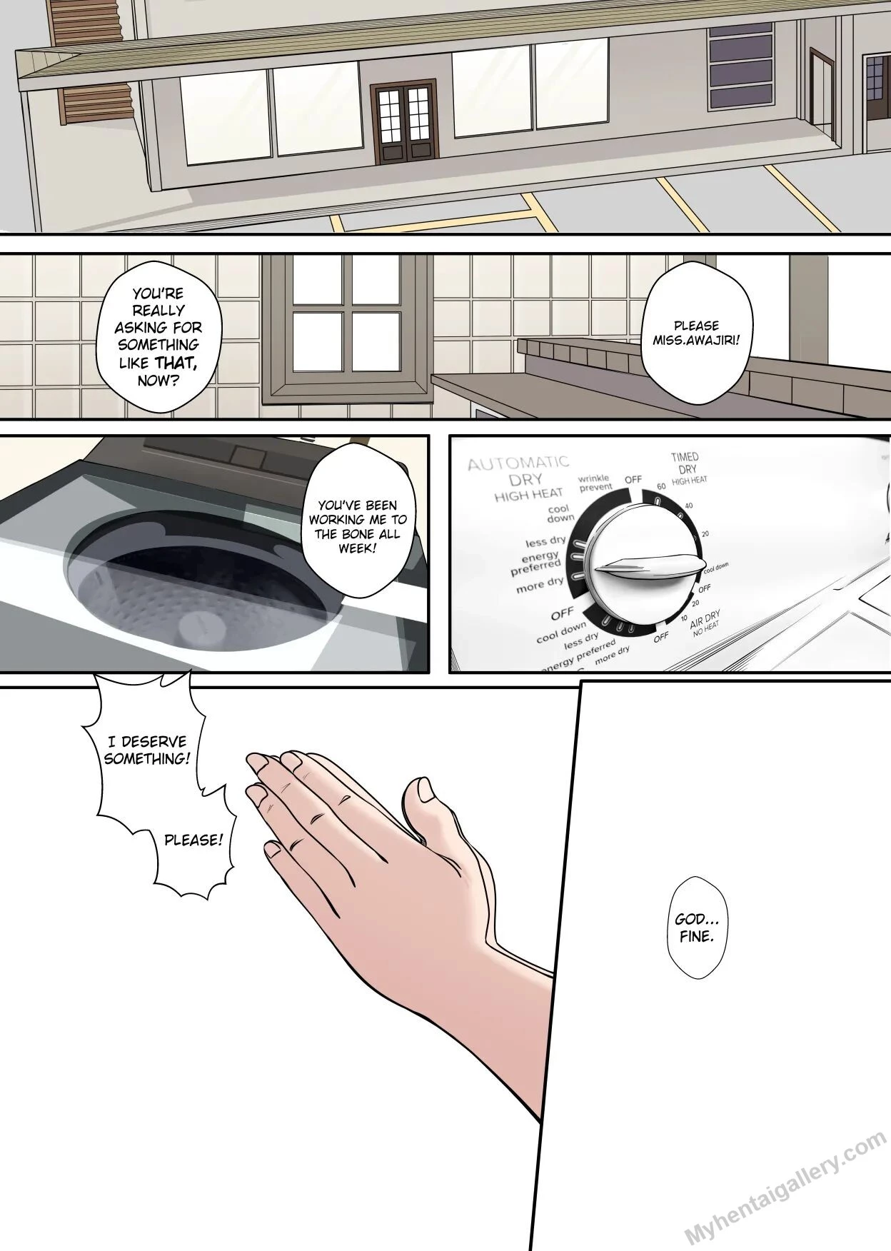 The Laundry Ladies special someone image number 2