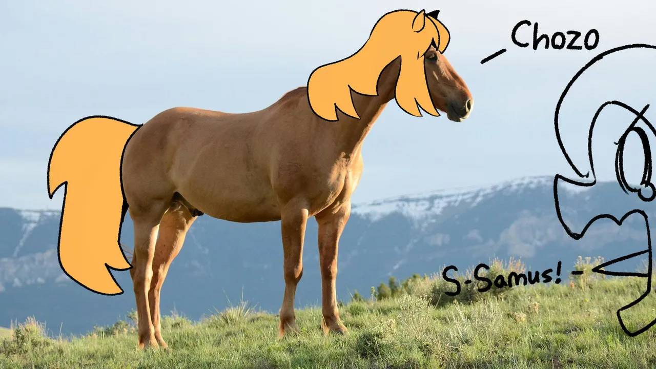 Equinus Power! image number 15