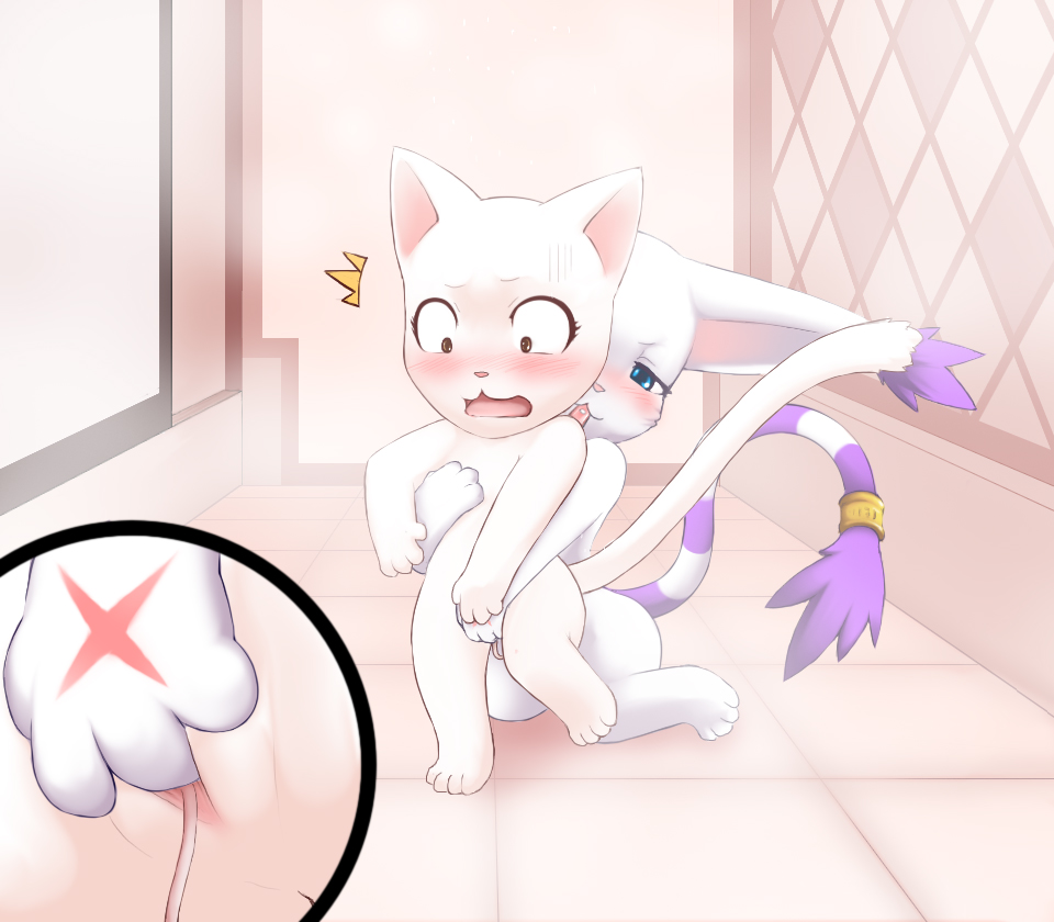 Pussy Lessons image number 2