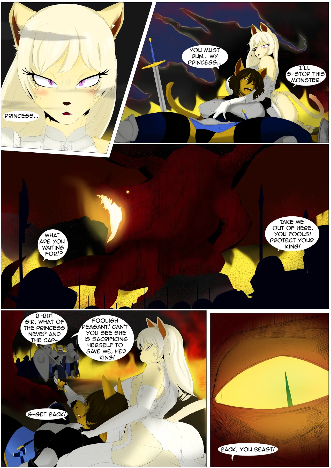 Princess and Dragons
