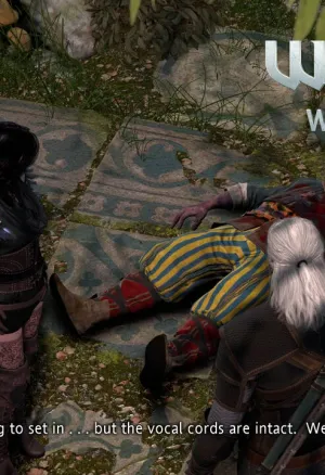 Witcher stories part 2