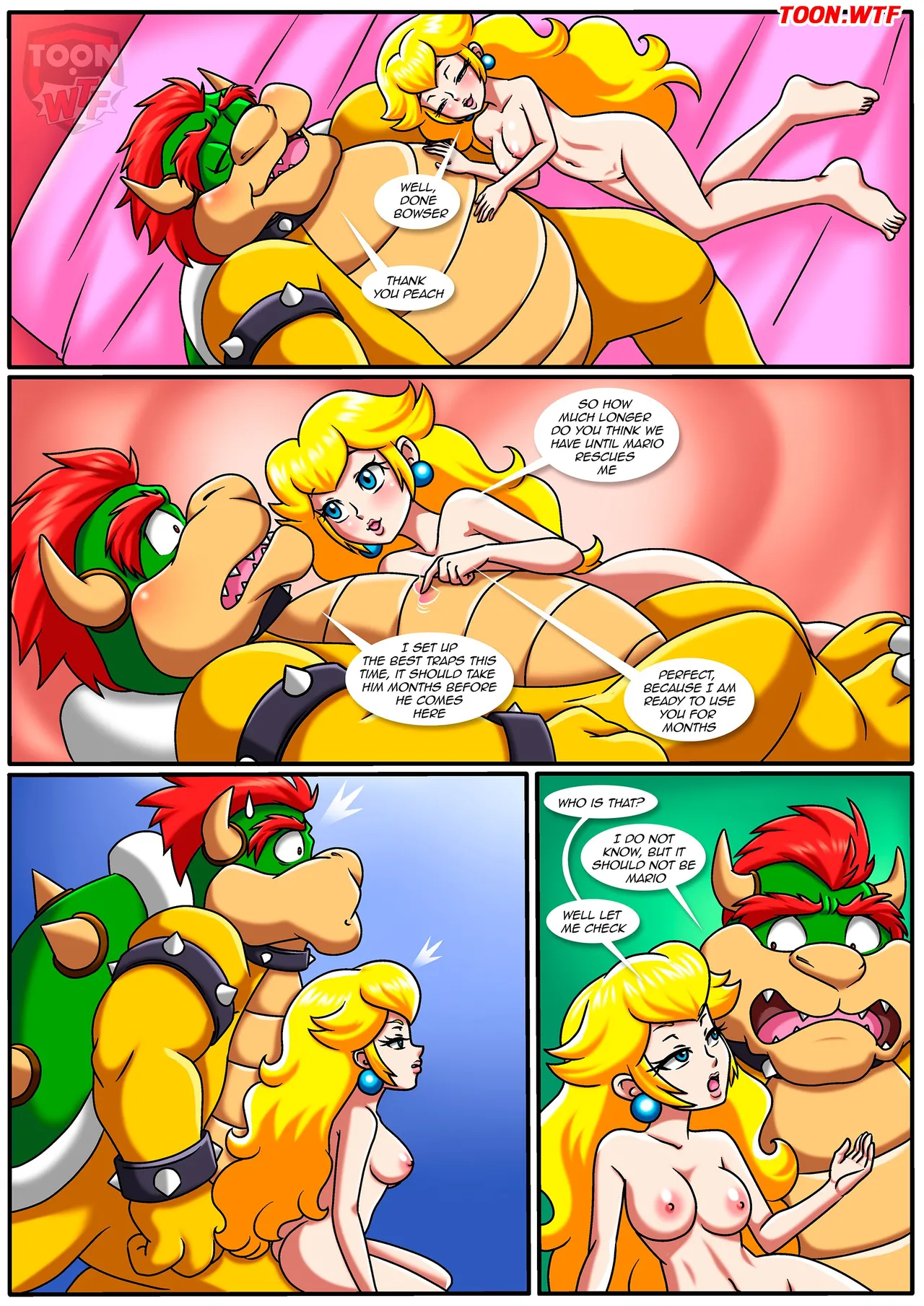 The Mushroom Kingdom Secret image number 14