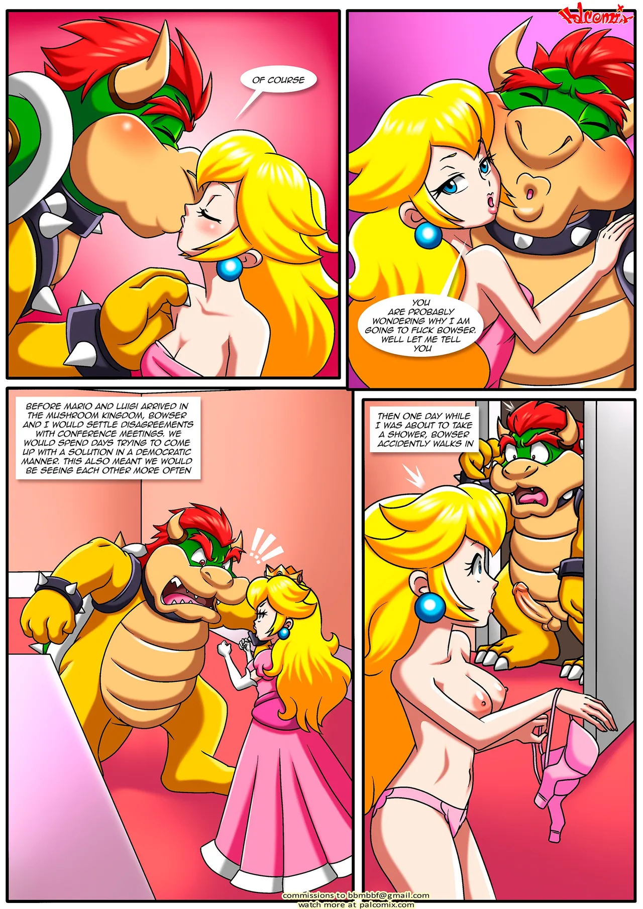 The Mushroom Kingdom Secret image number 4
