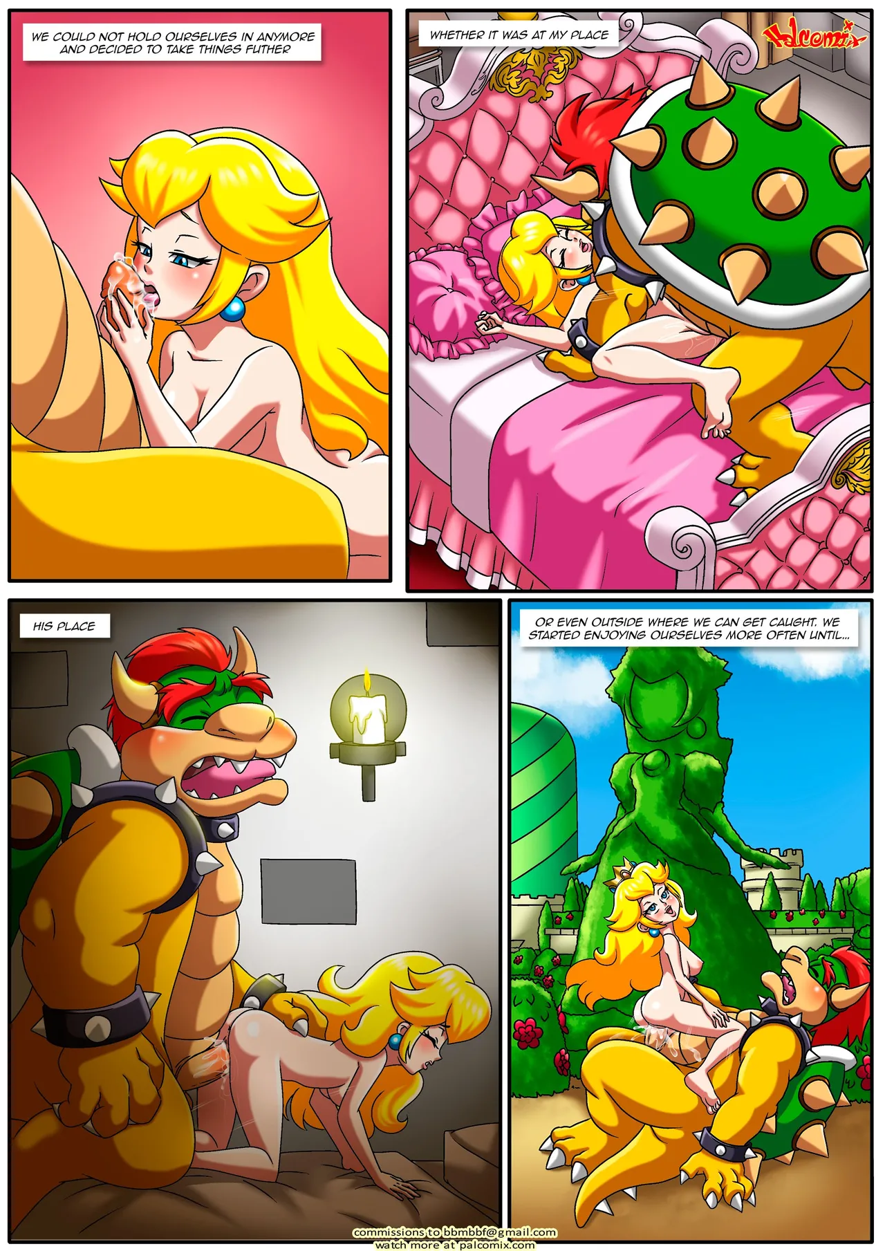 The Mushroom Kingdom Secret image number 6