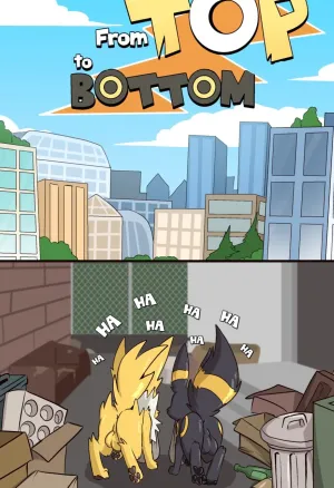 From  To Bottom