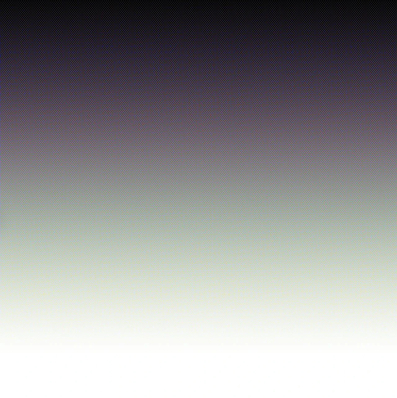 HOME BUNNY image number 16