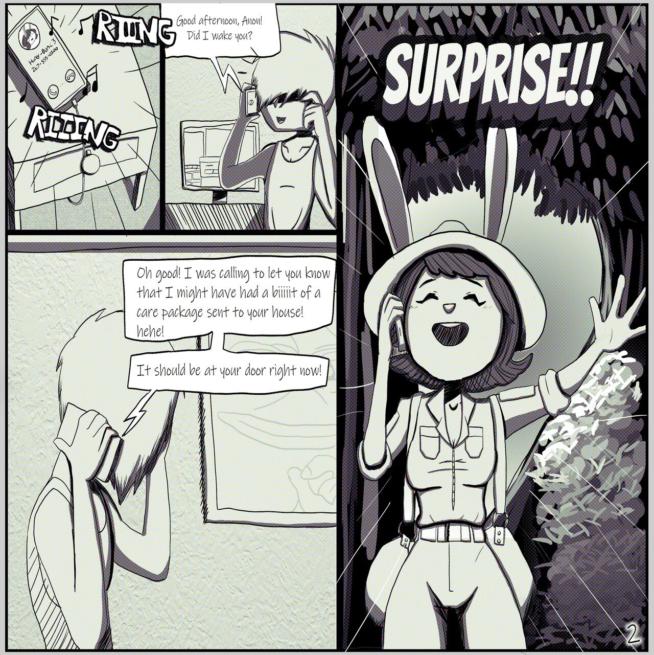 HOME BUNNY image number 2