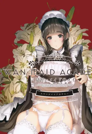 SWAN MAID ACADEMY