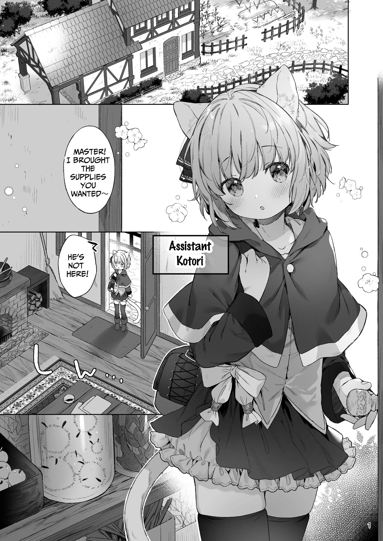 Other World Adult Store  Isekai Otona no Omochaya-san image number 1